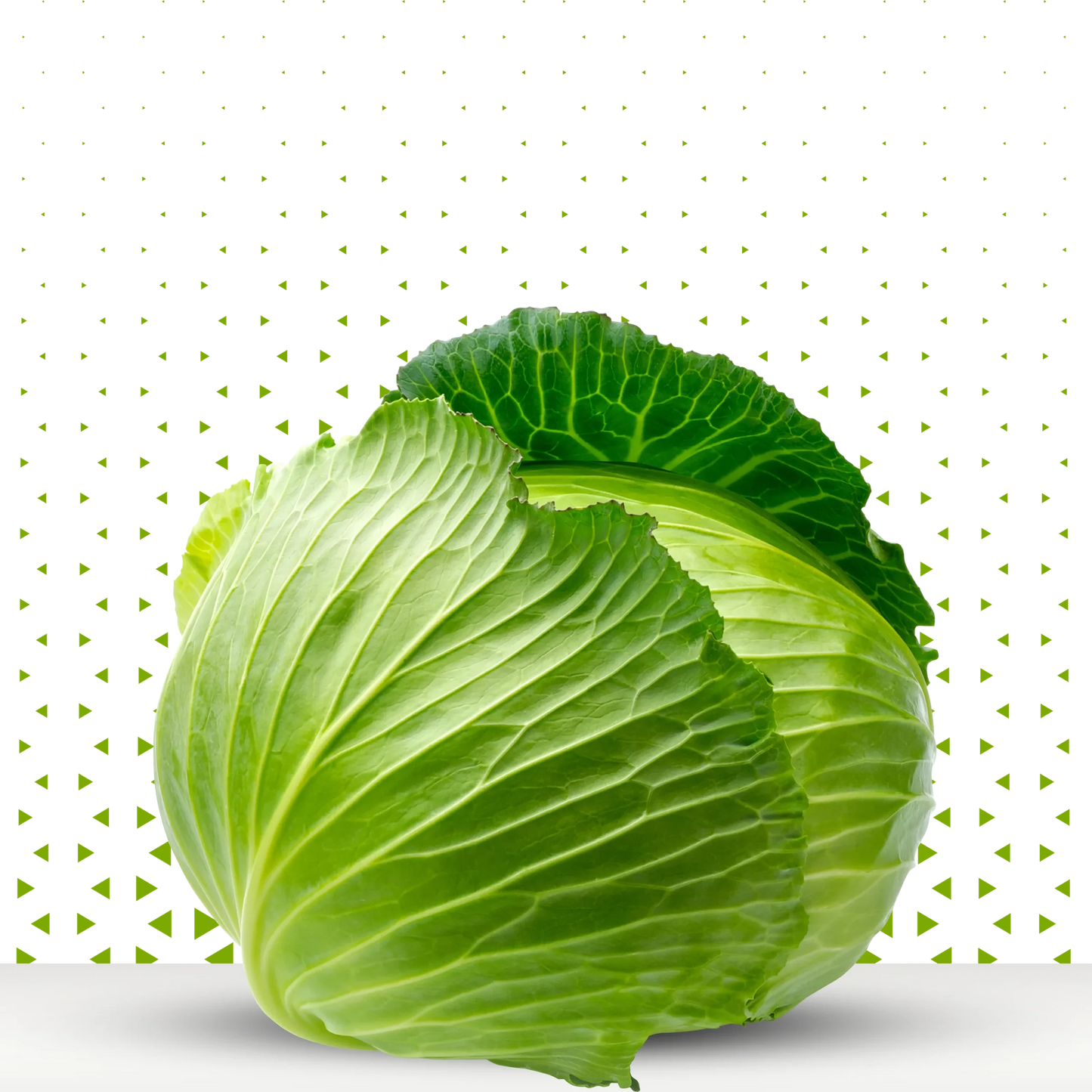 Cabbage